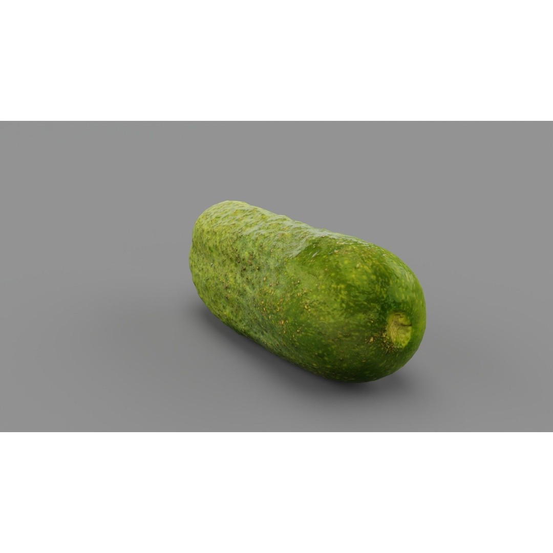 Cucumber 3D Model – Low Poly Photorealistic Vegetable, FBX, OBJ - View 30