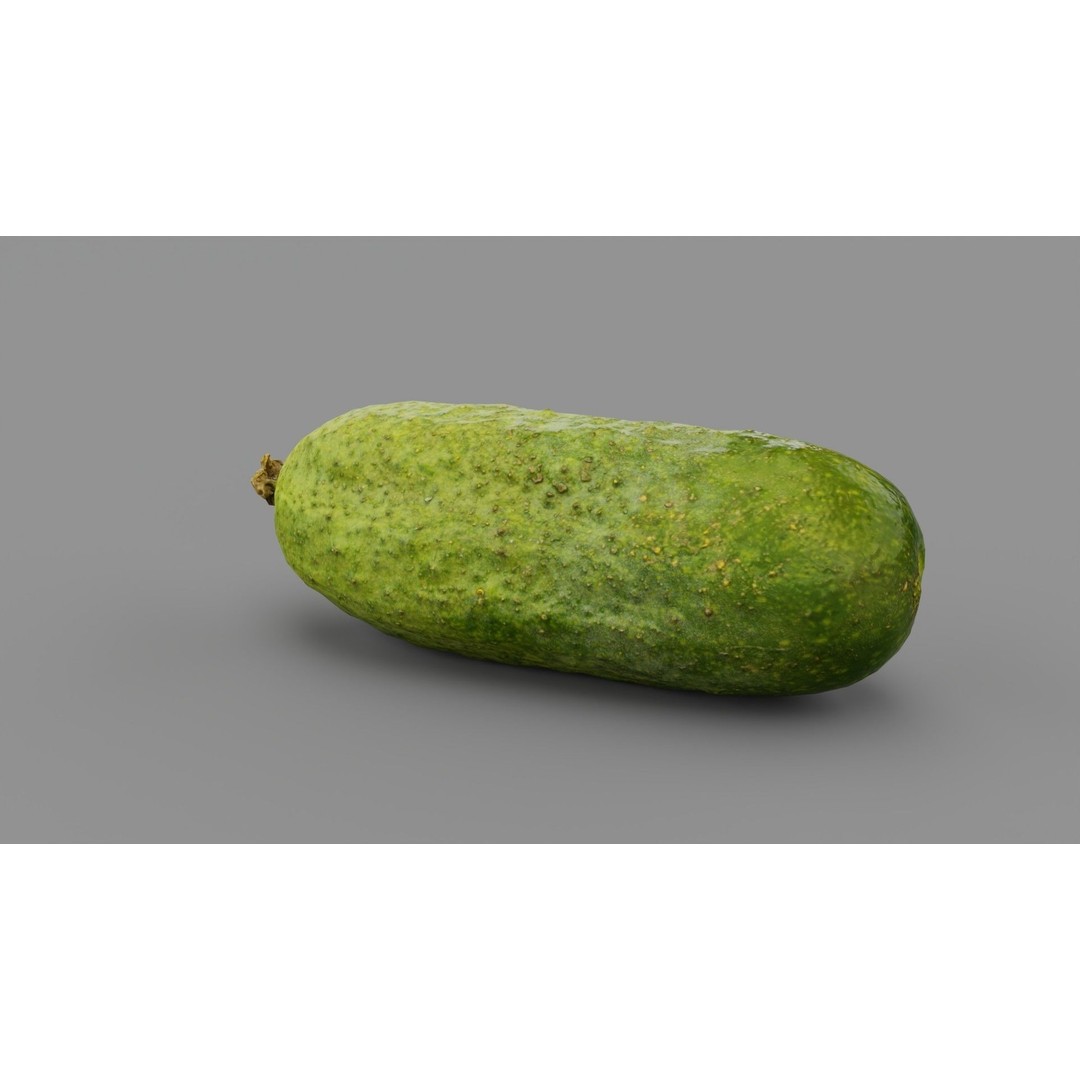 Cucumber 3D Model – Low Poly Photorealistic Vegetable, FBX, OBJ - View 31