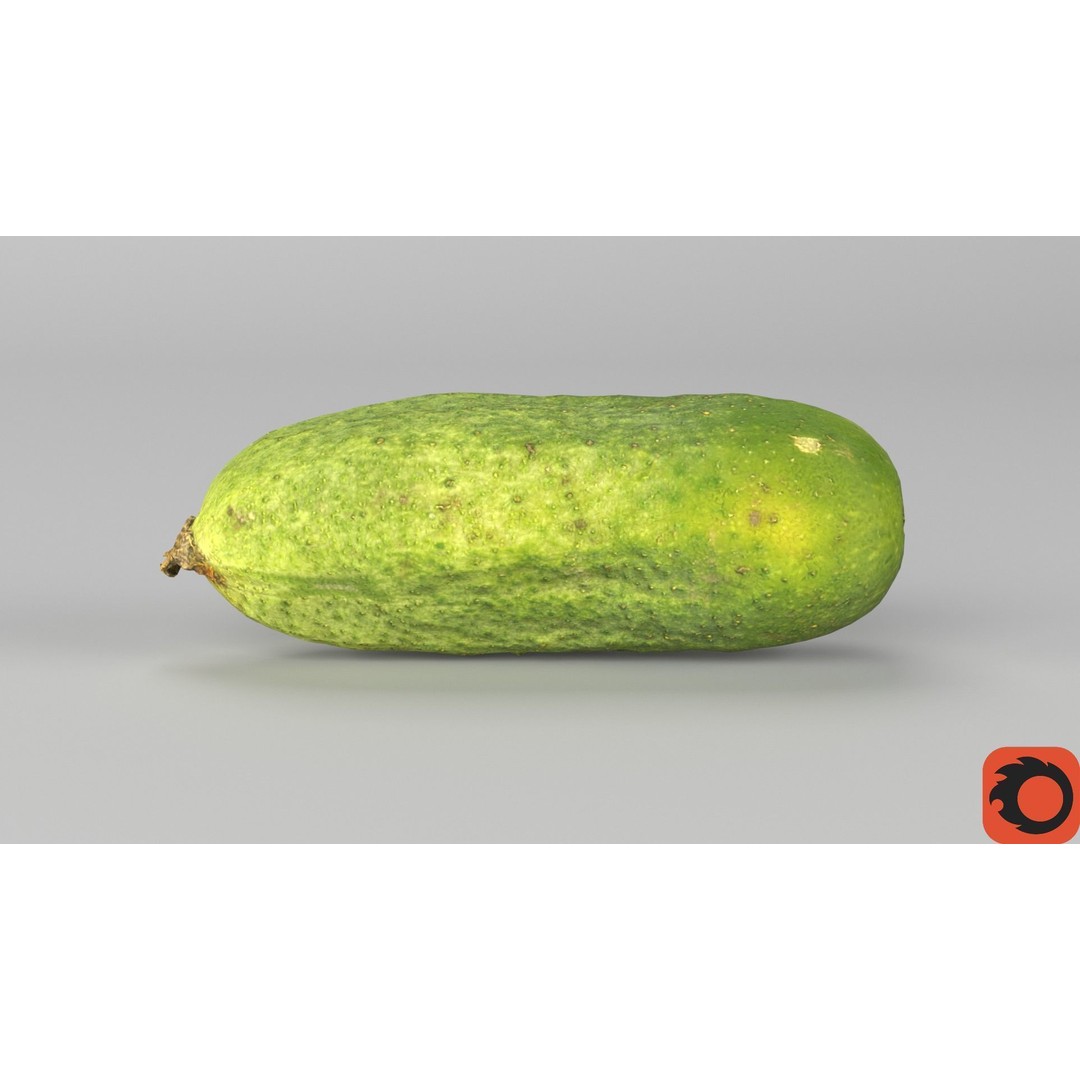 Cucumber 3D Model – Low Poly Photorealistic Vegetable, FBX, OBJ - View 32