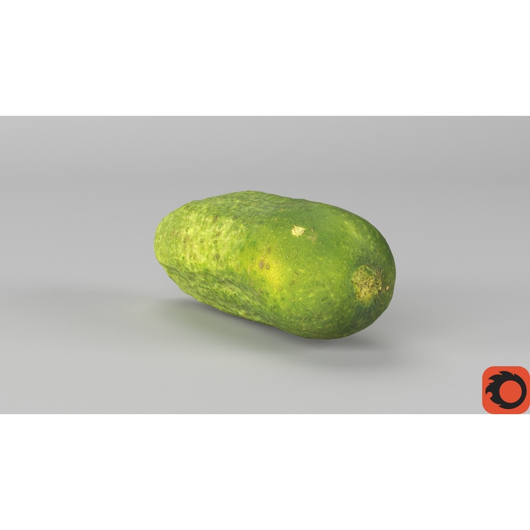 Cucumber 3D Model – Low Poly Photorealistic Vegetable, FBX, OBJ - View 33