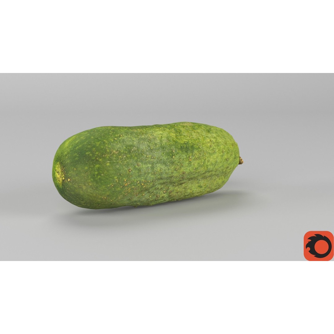 Cucumber 3D Model – Low Poly Photorealistic Vegetable, FBX, OBJ - View 34