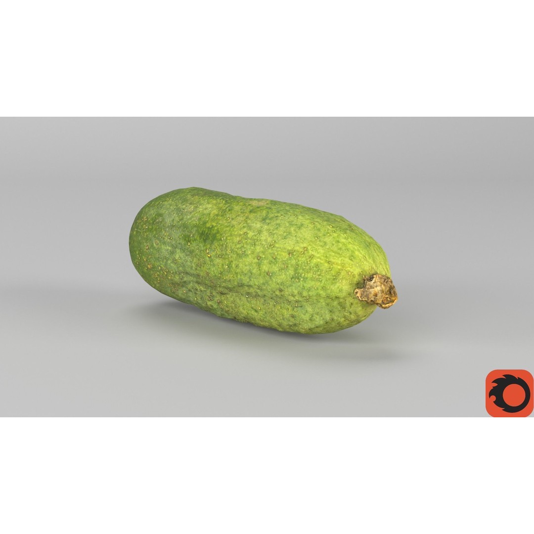 Cucumber 3D Model – Low Poly Photorealistic Vegetable, FBX, OBJ - View 35
