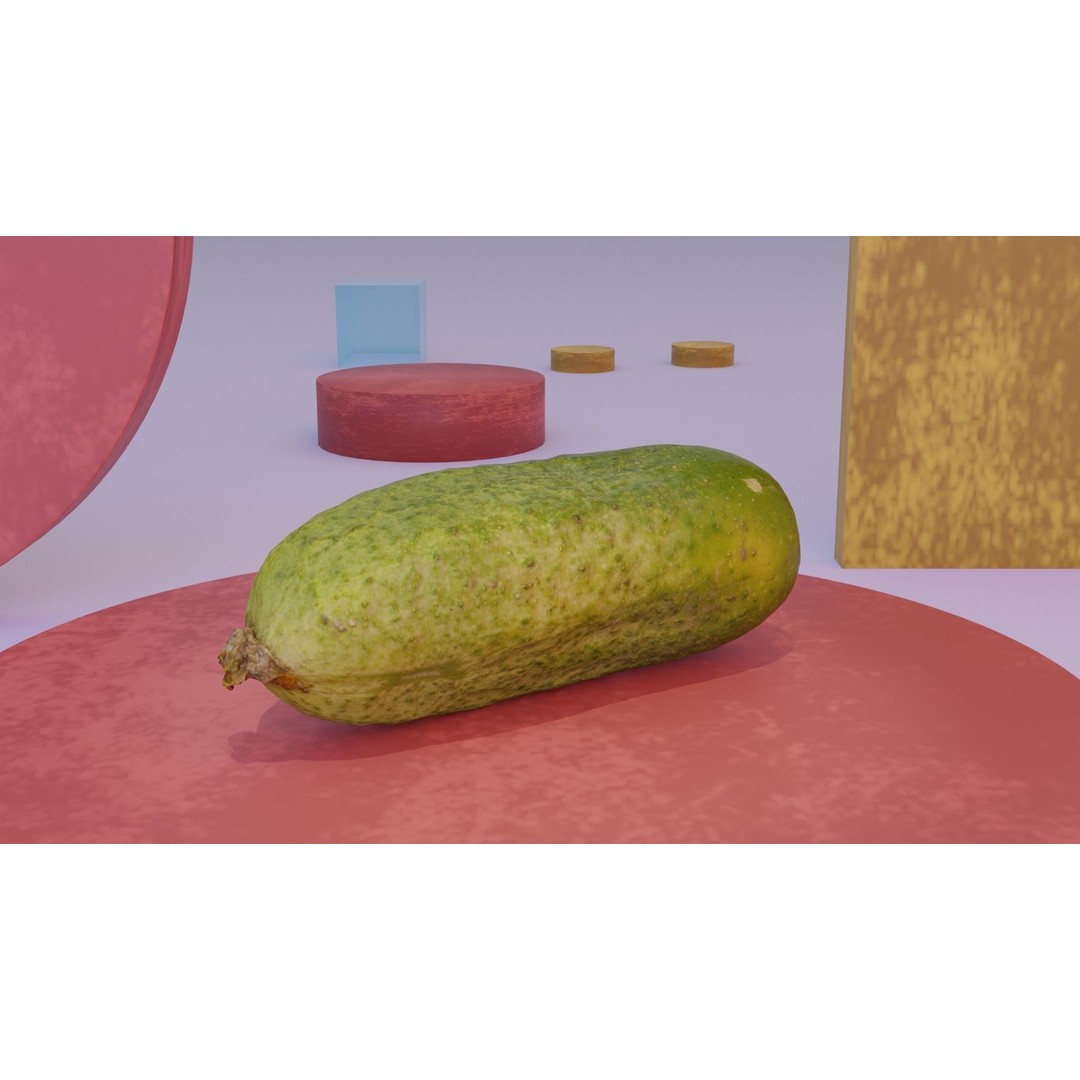 Cucumber 3D Model – Low Poly Photorealistic Vegetable, FBX, OBJ - View 4