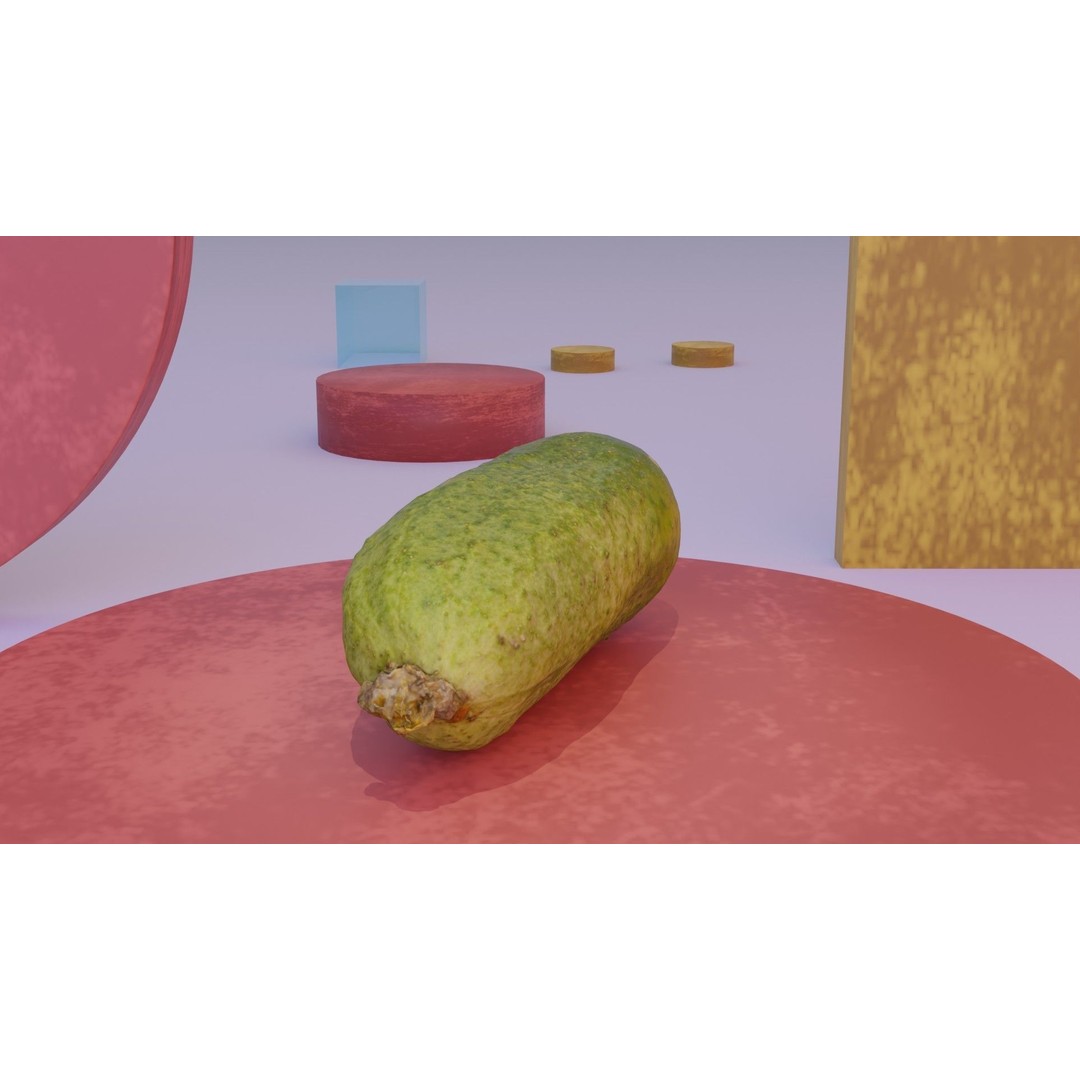 Cucumber 3D Model – Low Poly Photorealistic Vegetable, FBX, OBJ - View 5