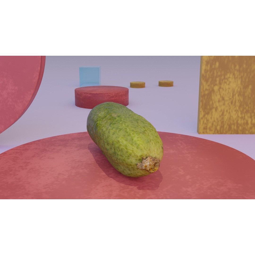 Cucumber 3D Model – Low Poly Photorealistic Vegetable, FBX, OBJ - View 6