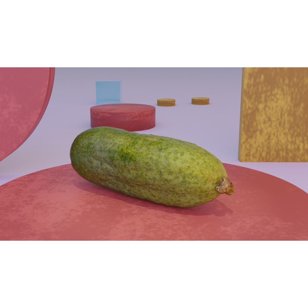 Cucumber 3D Model – Low Poly Photorealistic Vegetable, FBX, OBJ - View 7