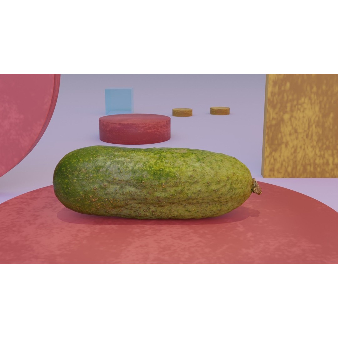 Cucumber 3D Model – Low Poly Photorealistic Vegetable, FBX, OBJ - View 8