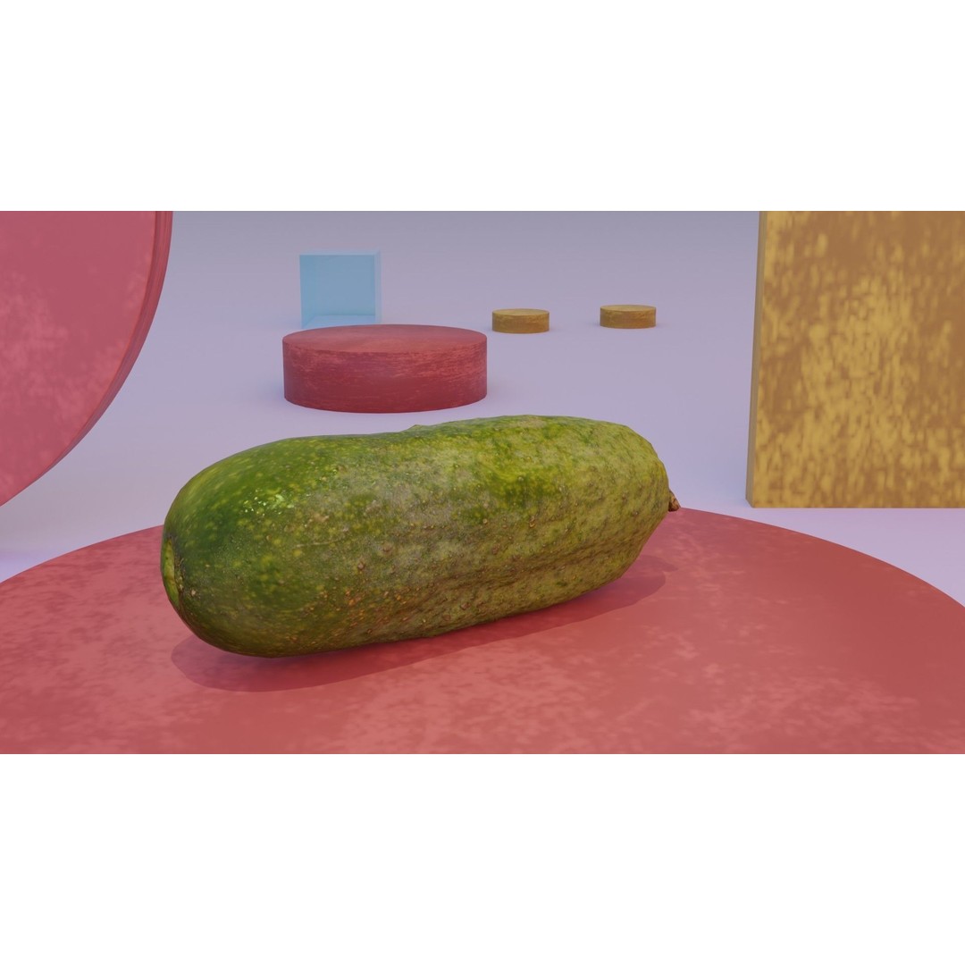 Cucumber 3D Model – Low Poly Photorealistic Vegetable, FBX, OBJ - View 9