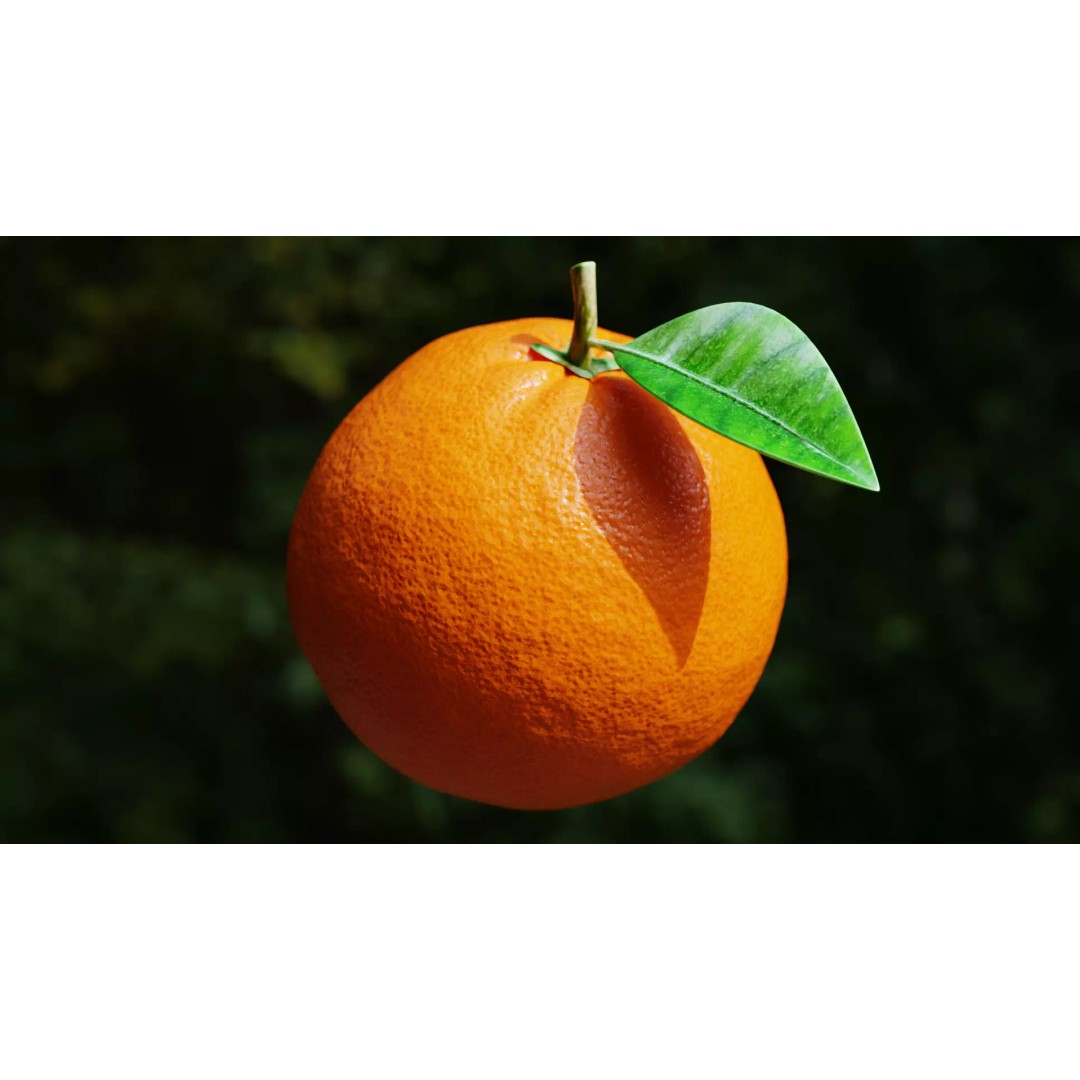 Procedural Orange Fruit 3D Model – Photoreal Organic Asset, Blender - View 2
