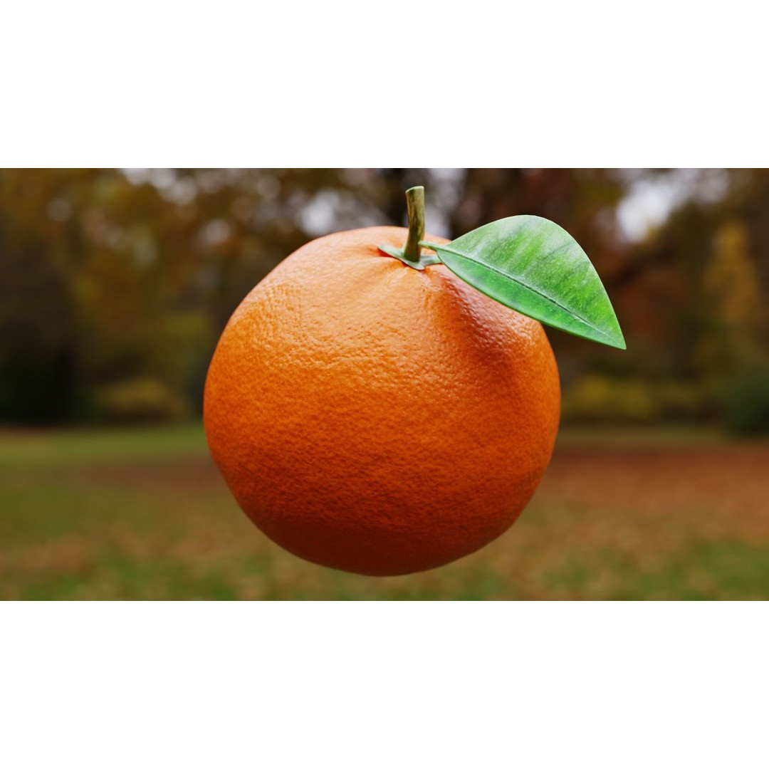 Procedural Orange Fruit 3D Model – Photoreal Organic Asset, Blender - View 3