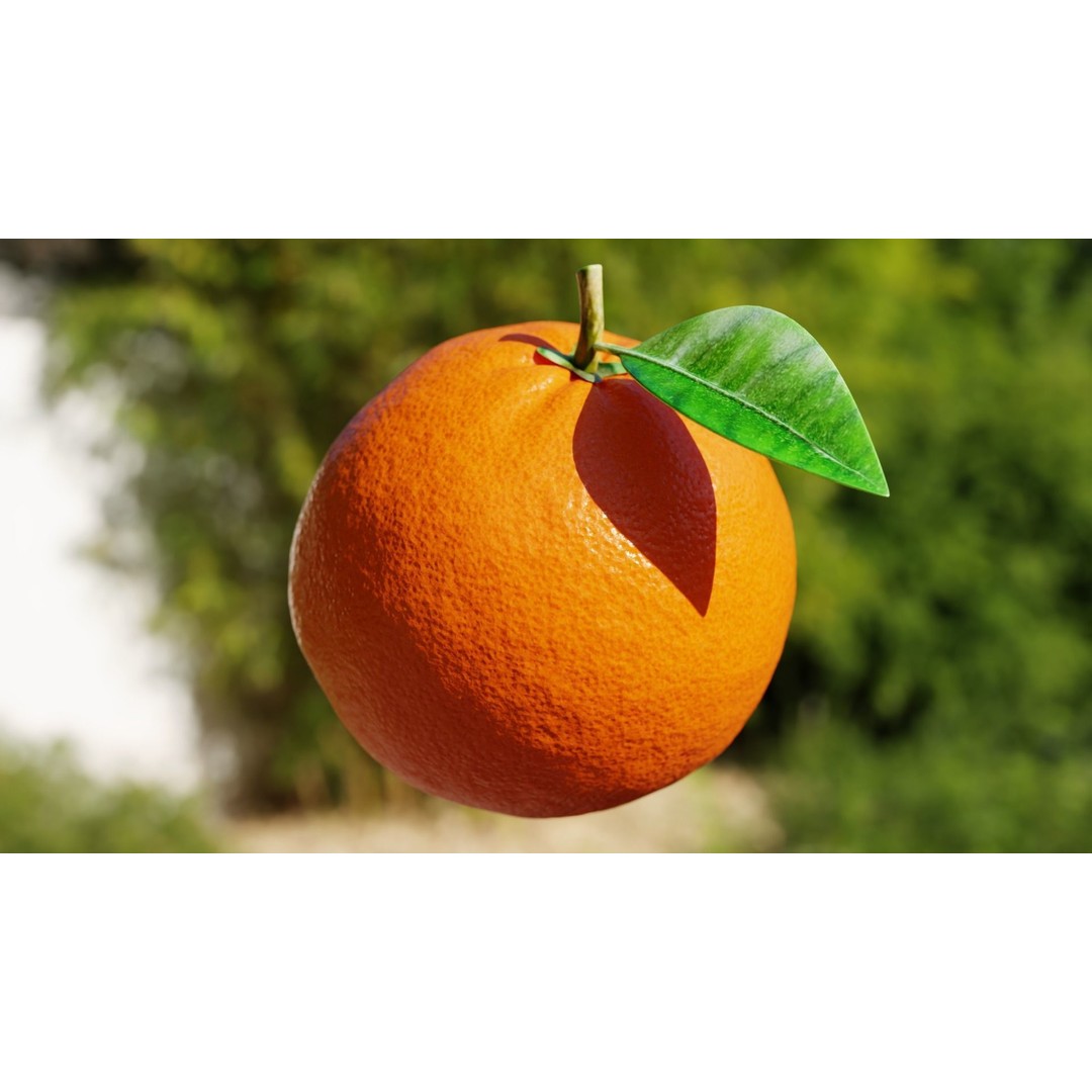 Procedural Orange Fruit 3D Model – Photoreal Organic Asset, Blender - View 4
