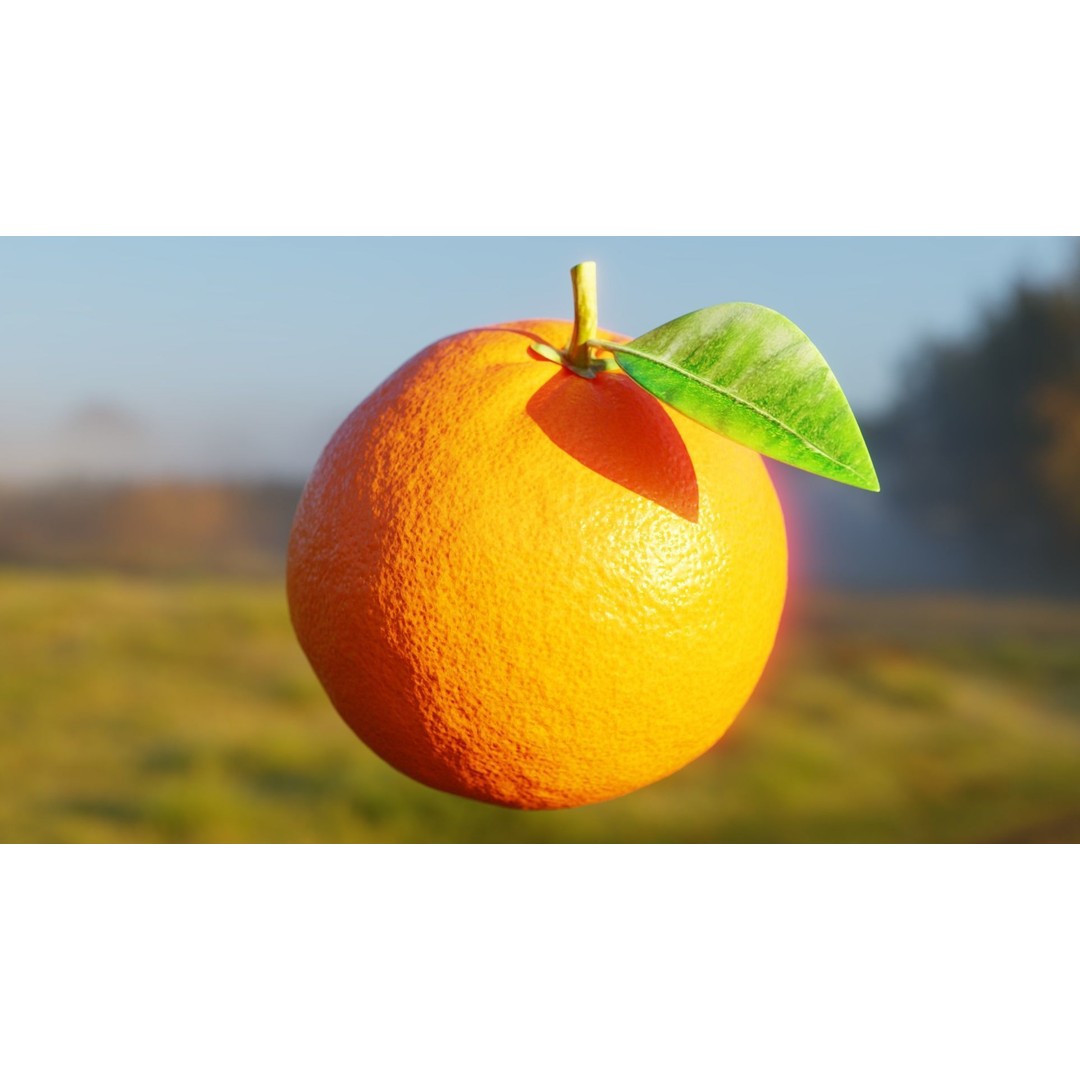 Procedural Orange Fruit 3D Model – Photoreal Organic Asset, Blender - View 5