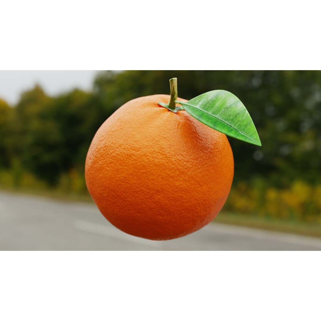 Procedural Orange Fruit 3D Model – Photoreal Organic Asset, Blender - View 6