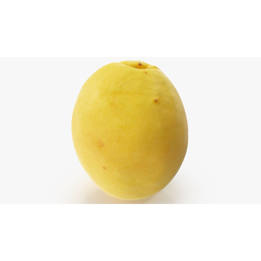 Apricot 3D Model – Hi Poly Realistic Fruit Asset, FBX & OBJ Formats - View 10