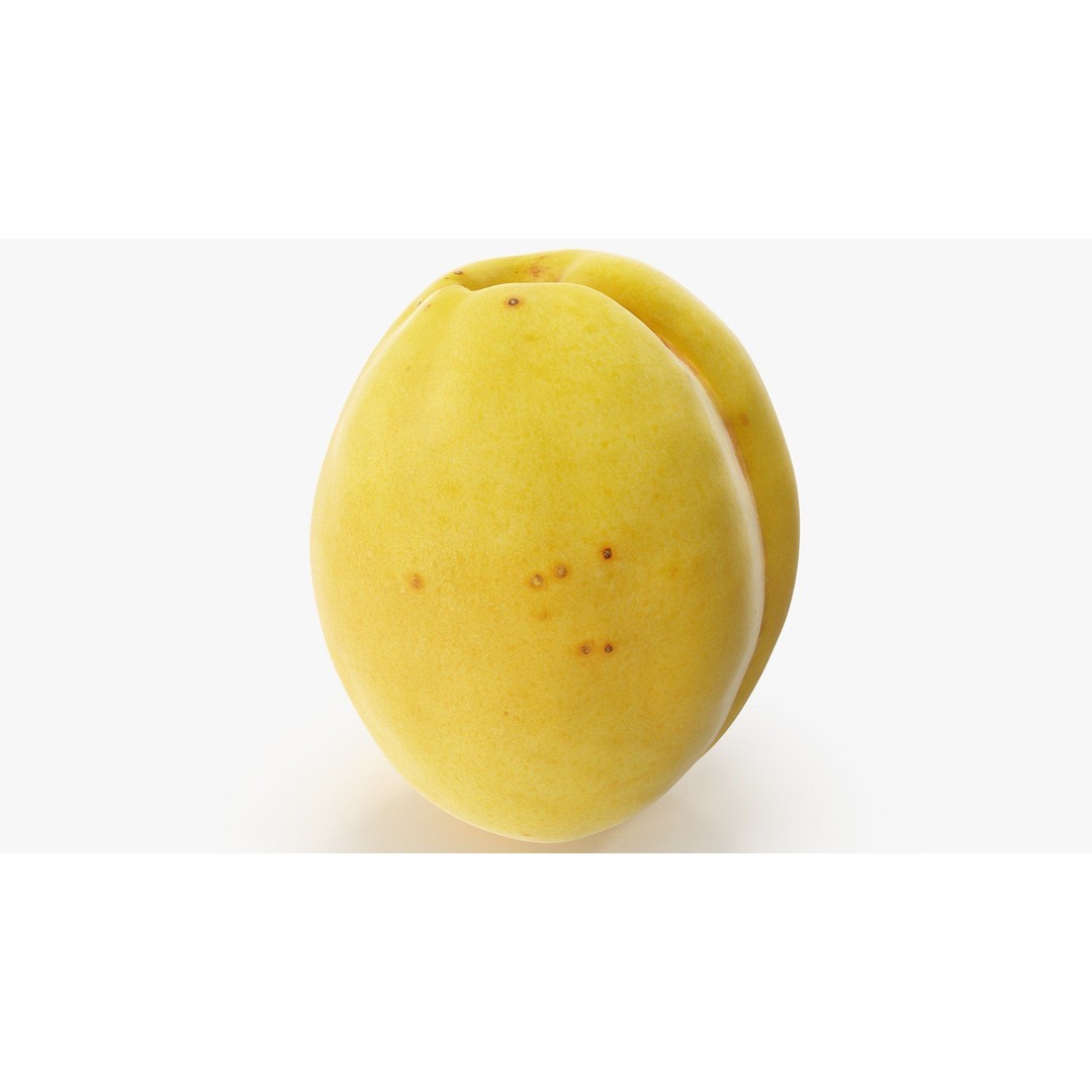 Apricot 3D Model – Hi Poly Realistic Fruit Asset, FBX & OBJ Formats - View 11