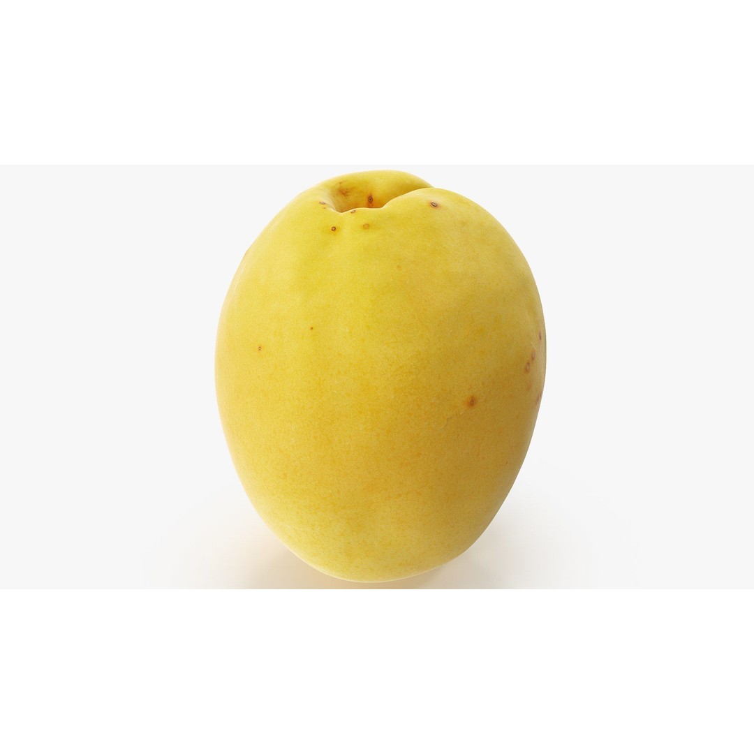 Apricot 3D Model – Hi Poly Realistic Fruit Asset, FBX & OBJ Formats - View 12