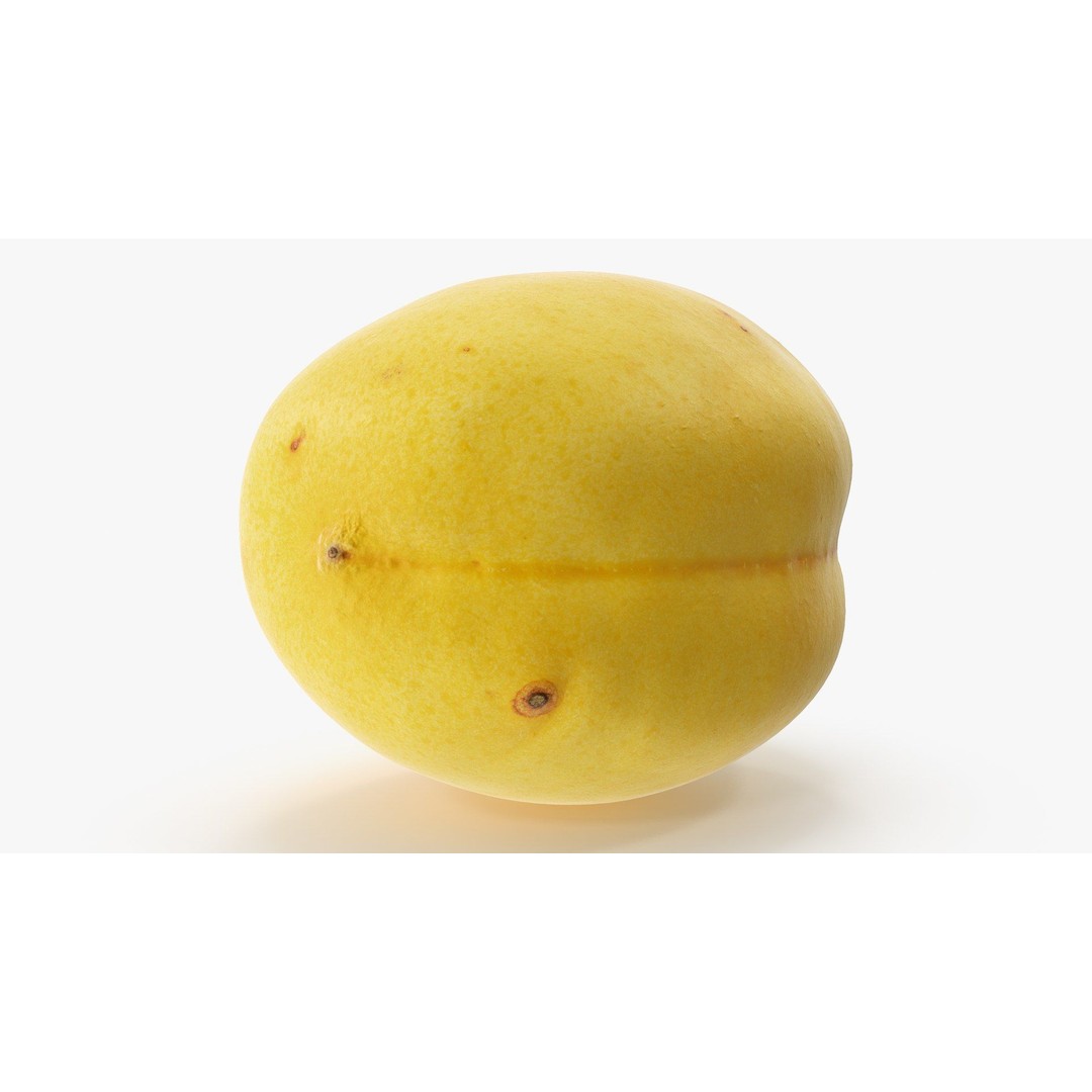 Apricot 3D Model – Hi Poly Realistic Fruit Asset, FBX & OBJ Formats - View 6