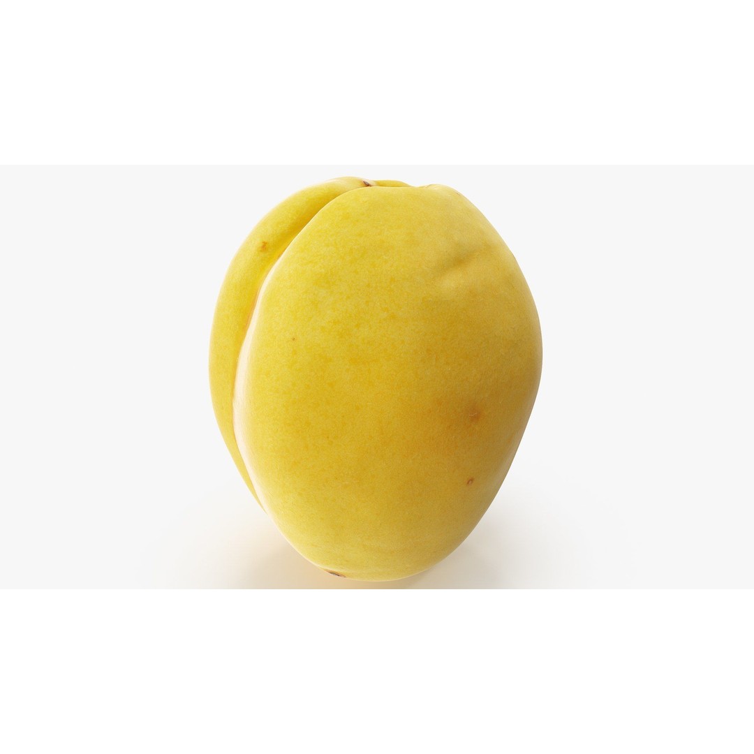 Apricot 3D Model – Hi Poly Realistic Fruit Asset, FBX & OBJ Formats - View 7