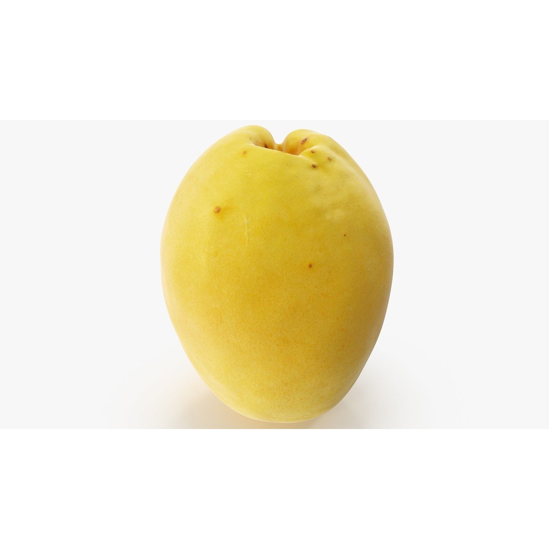 Apricot 3D Model – Hi Poly Realistic Fruit Asset, FBX & OBJ Formats - View 8