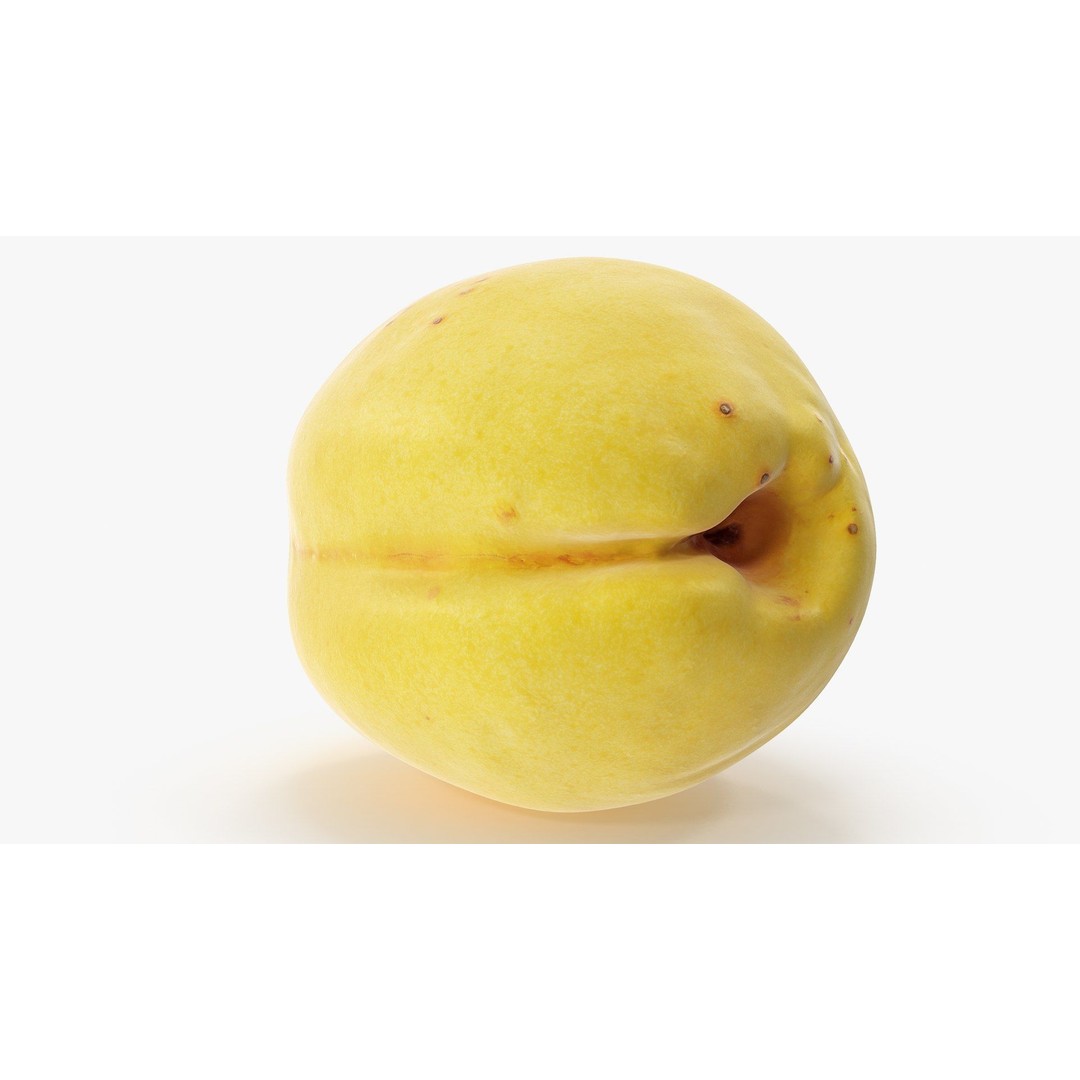 Apricot 3D Model – Hi Poly Realistic Fruit Asset, FBX & OBJ Formats - View 9