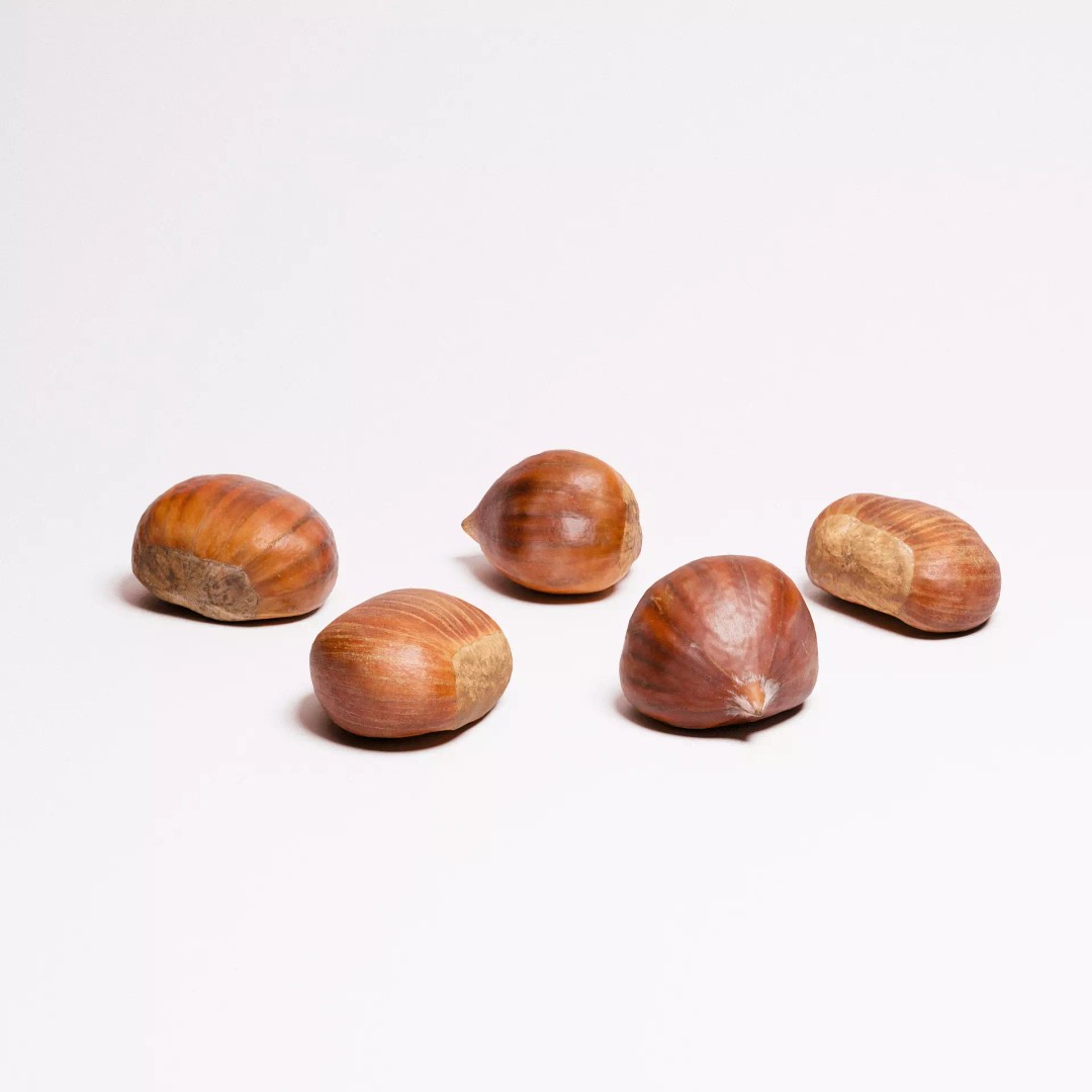 Chestnuts 3D Model – Low Poly Photorealistic Game Asset, FBX - View 2