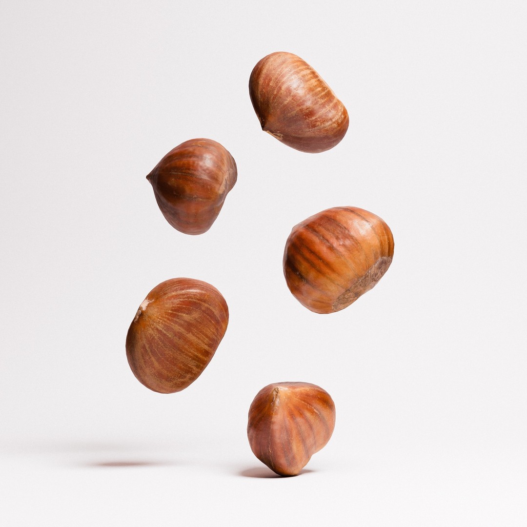 Chestnuts 3D Model – Low Poly Photorealistic Game Asset, FBX - View 3