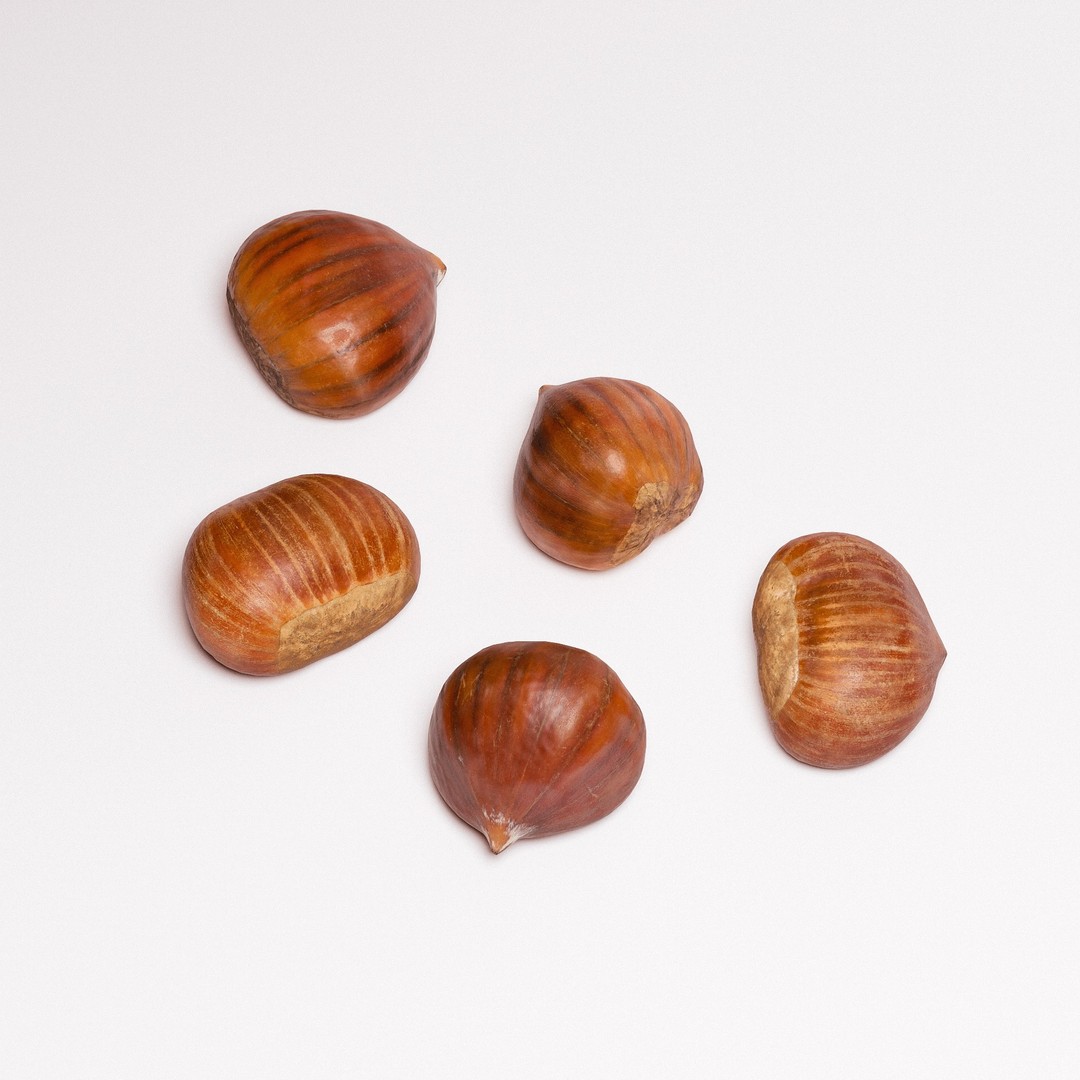 Chestnuts 3D Model – Low Poly Photorealistic Game Asset, FBX - View 4