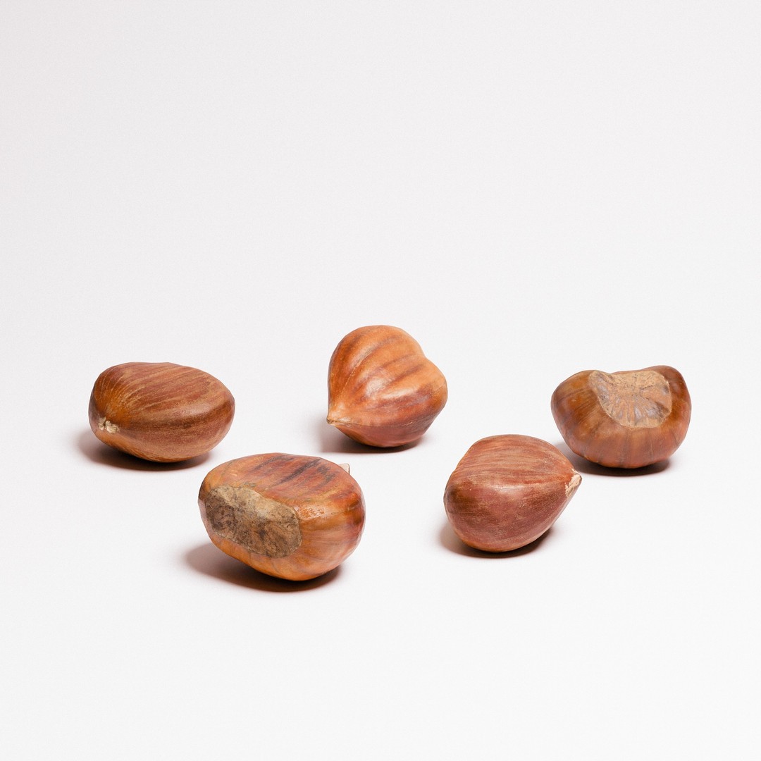 Chestnuts 3D Model – Low Poly Photorealistic Game Asset, FBX - View 5