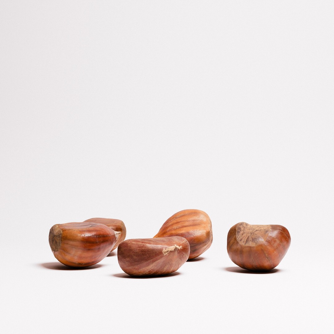Chestnuts 3D Model – Low Poly Photorealistic Game Asset, FBX - View 6