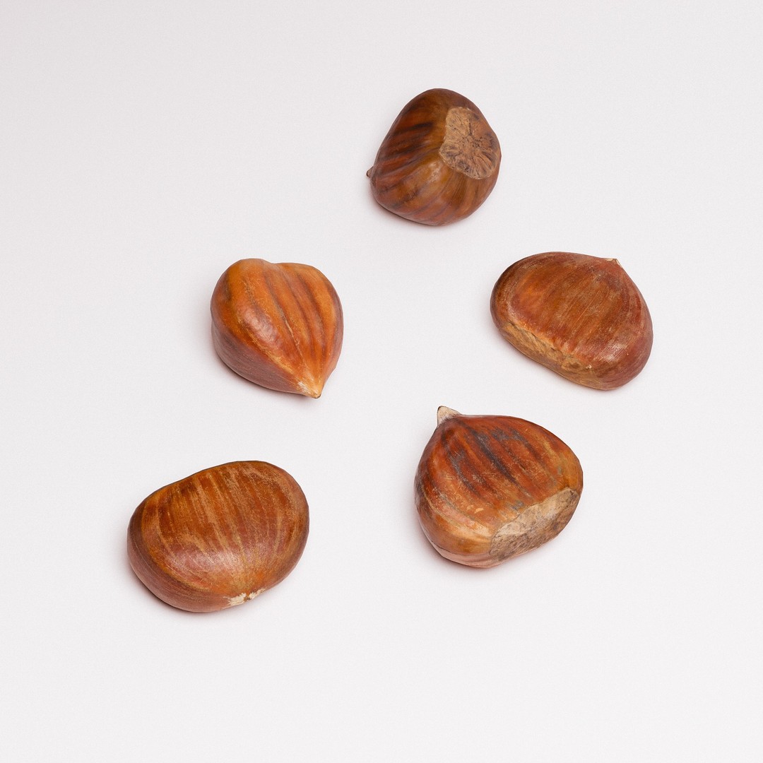 Chestnuts 3D Model – Low Poly Photorealistic Game Asset, FBX - View 7