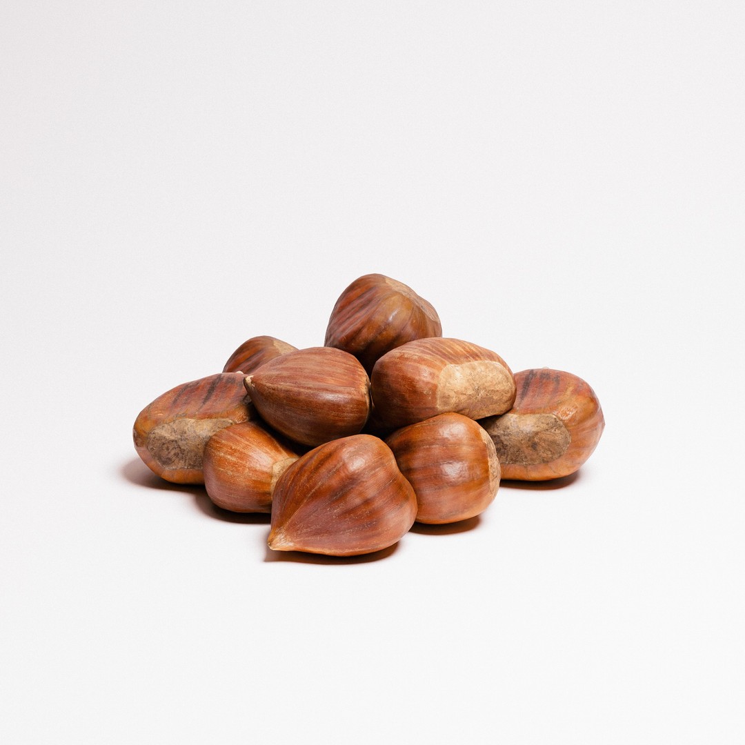 Chestnuts 3D Model – Low Poly Photorealistic Game Asset, FBX - View 8