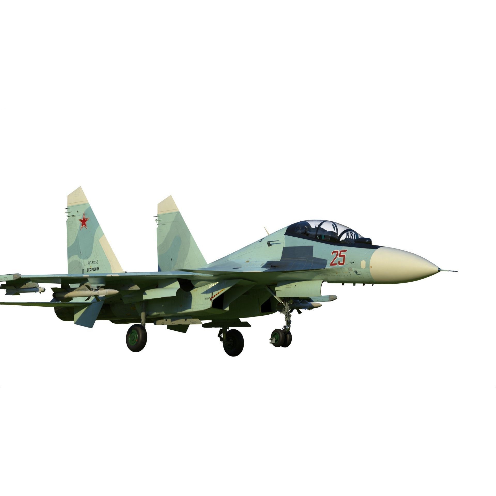 Sukhoi Su-30 - Game-Ready 3D Model - View 16