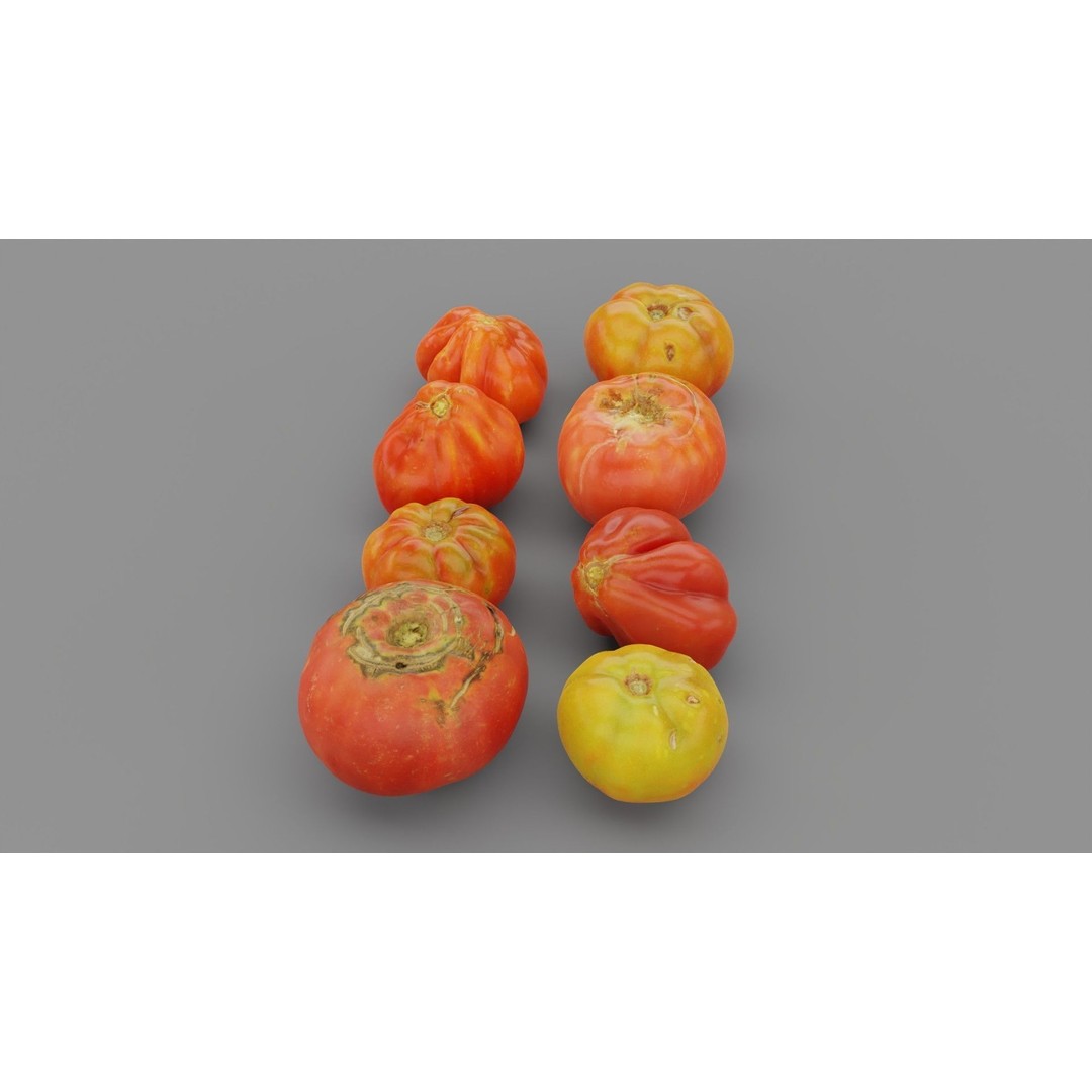 Tomatoes Collection 3D Model – High Poly Photorealistic Asset, FBX, OBJ - View 10