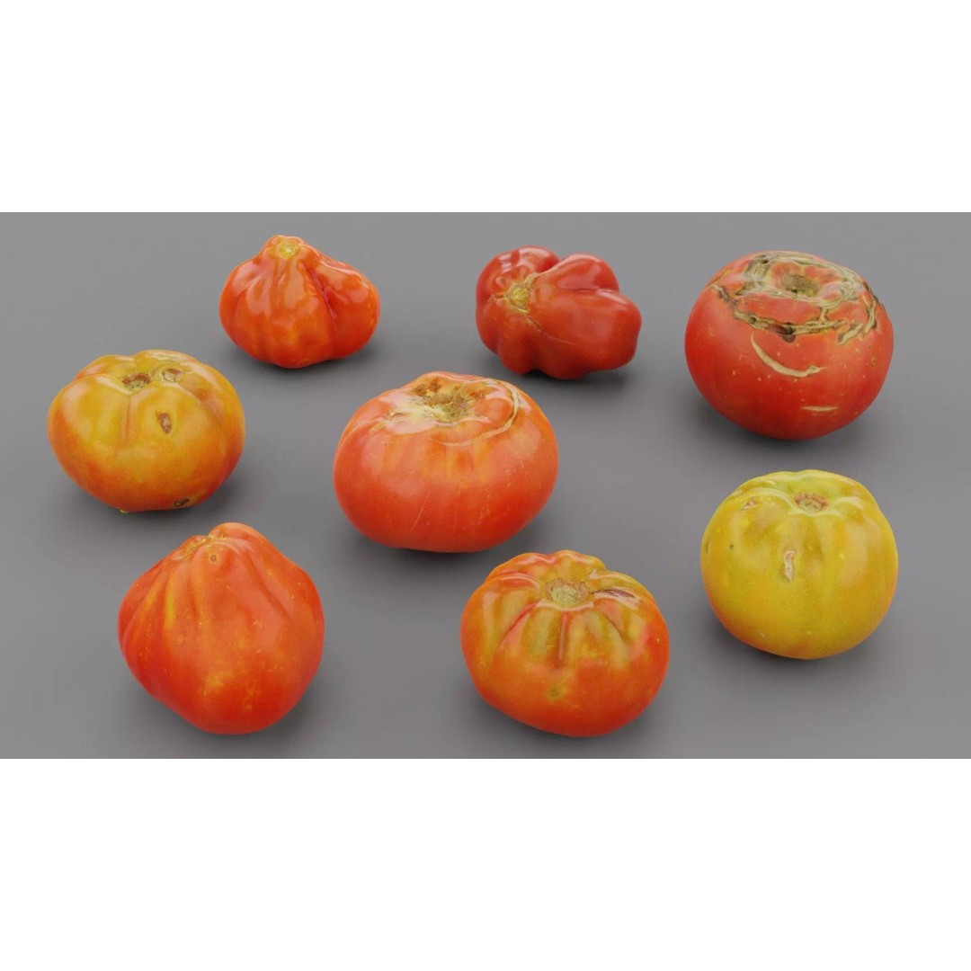 Tomatoes Collection 3D Model – High Poly Photorealistic Asset, FBX, OBJ - View 2