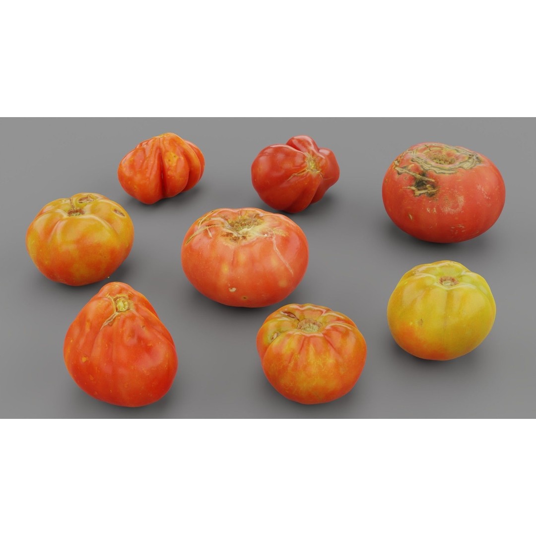 Tomatoes Collection 3D Model – High Poly Photorealistic Asset, FBX, OBJ - View 3