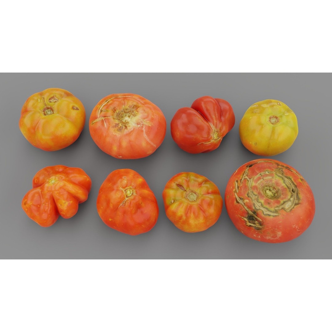 Tomatoes Collection 3D Model – High Poly Photorealistic Asset, FBX, OBJ - View 4