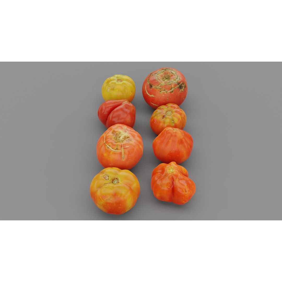 Tomatoes Collection 3D Model – High Poly Photorealistic Asset, FBX, OBJ - View 6