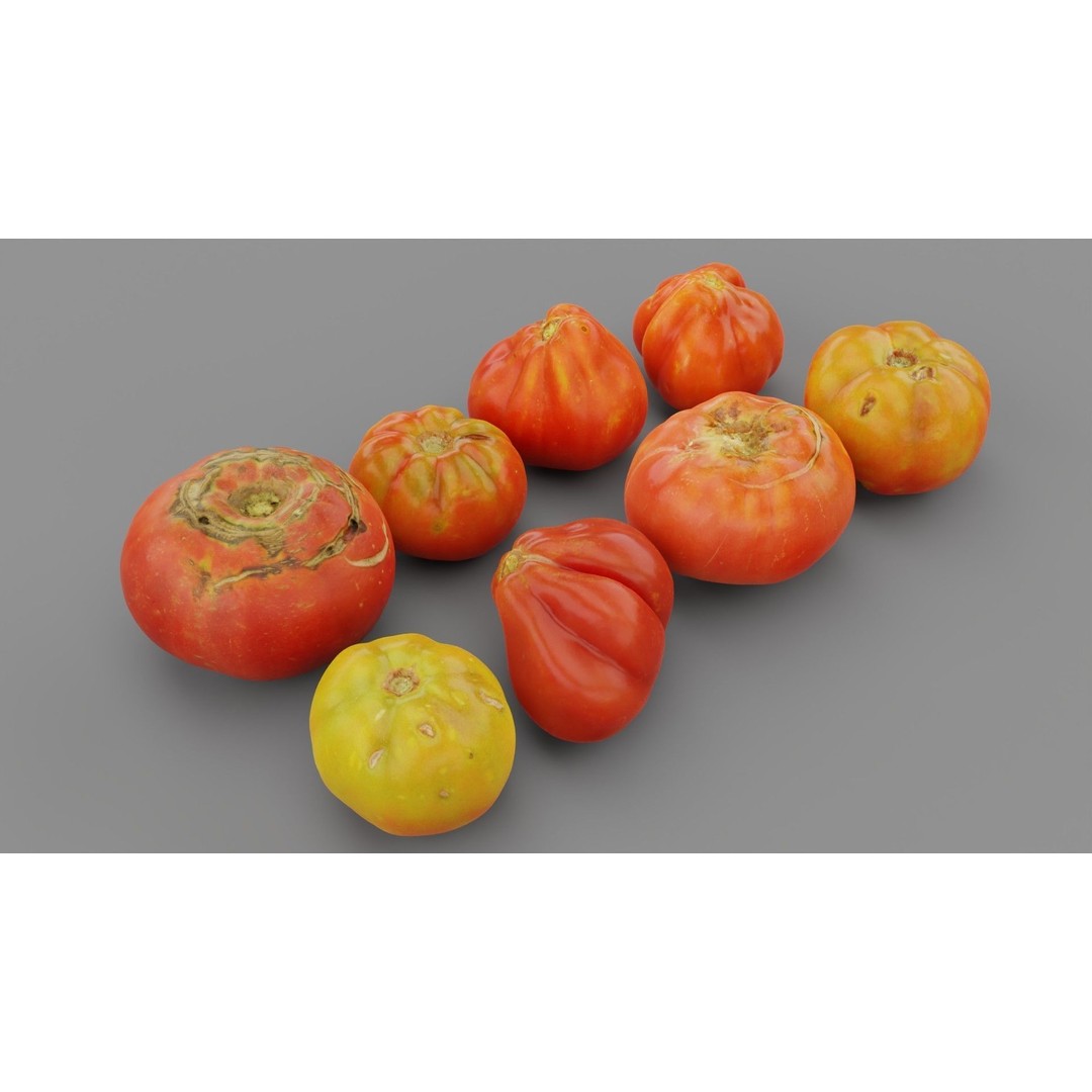 Tomatoes Collection 3D Model – High Poly Photorealistic Asset, FBX, OBJ - View 9
