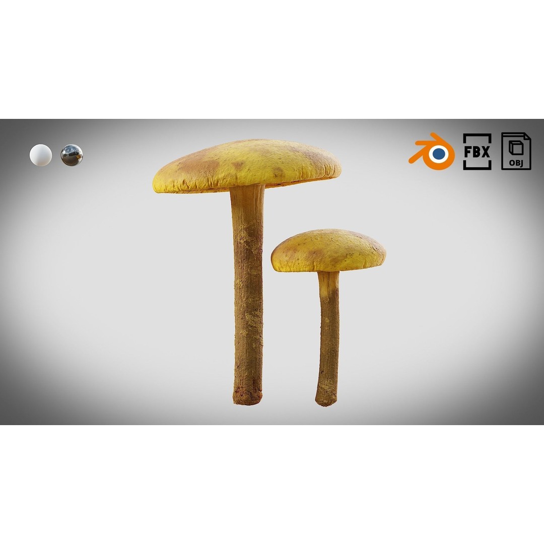 Mushrooms 3D Model – Low Poly PBR Asset with 4K Textures - View 10