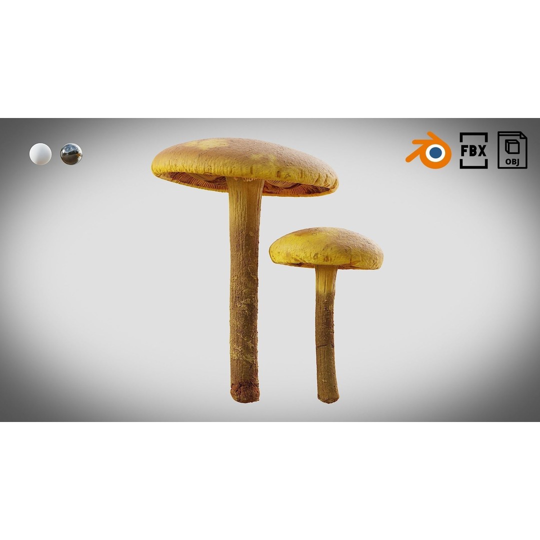 Mushrooms 3D Model – Low Poly PBR Asset with 4K Textures - View 12
