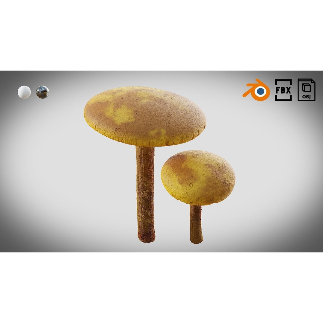 Mushrooms 3D Model – Low Poly PBR Asset with 4K Textures - View 13