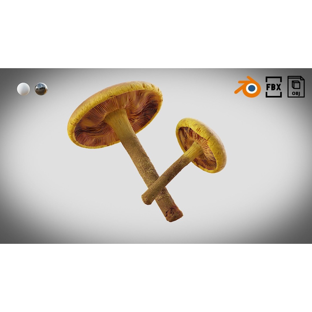 Mushrooms 3D Model – Low Poly PBR Asset with 4K Textures - View 14