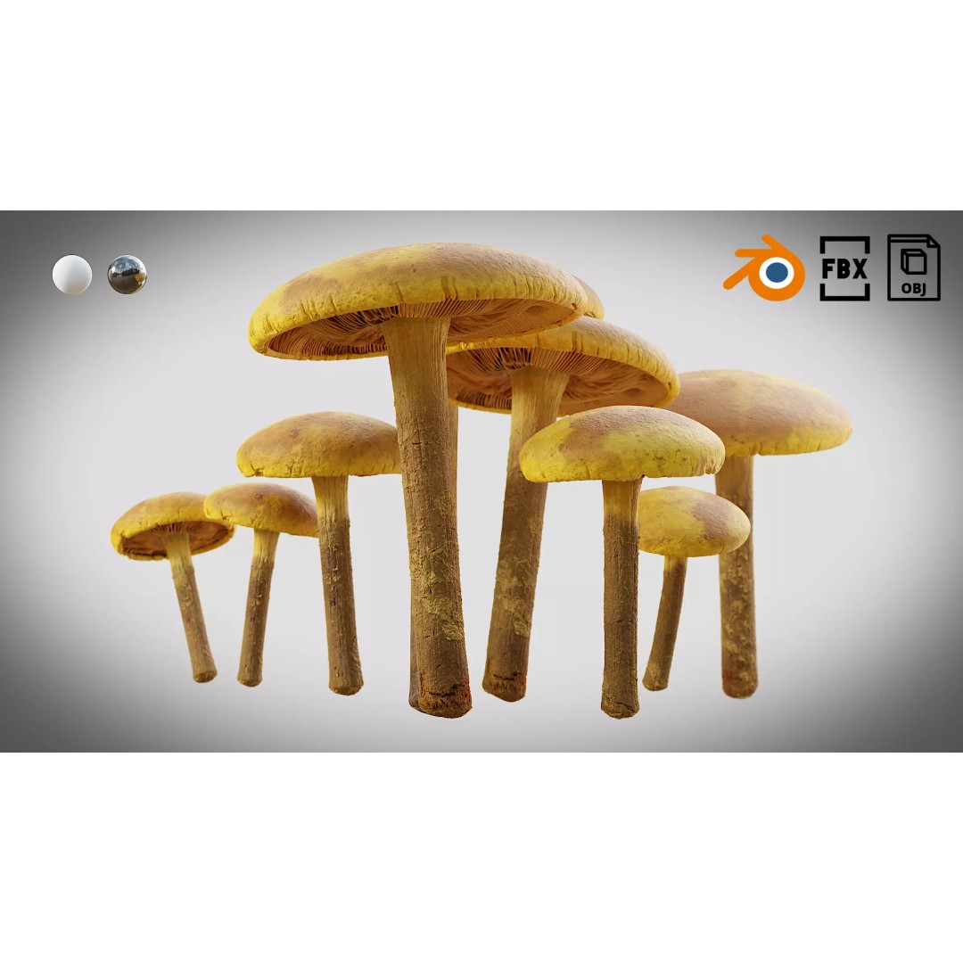 Mushrooms 3D Model – Low Poly PBR Asset with 4K Textures - View 2
