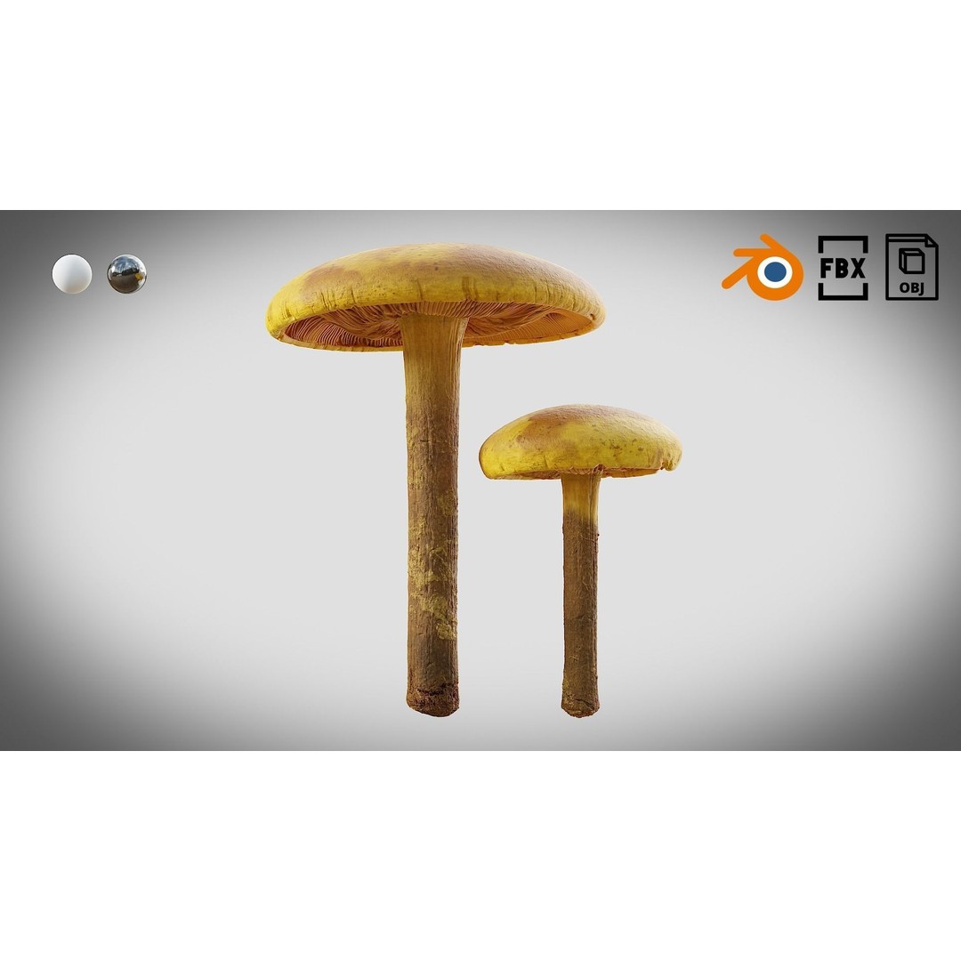 Mushrooms 3D Model – Low Poly PBR Asset with 4K Textures - View 3