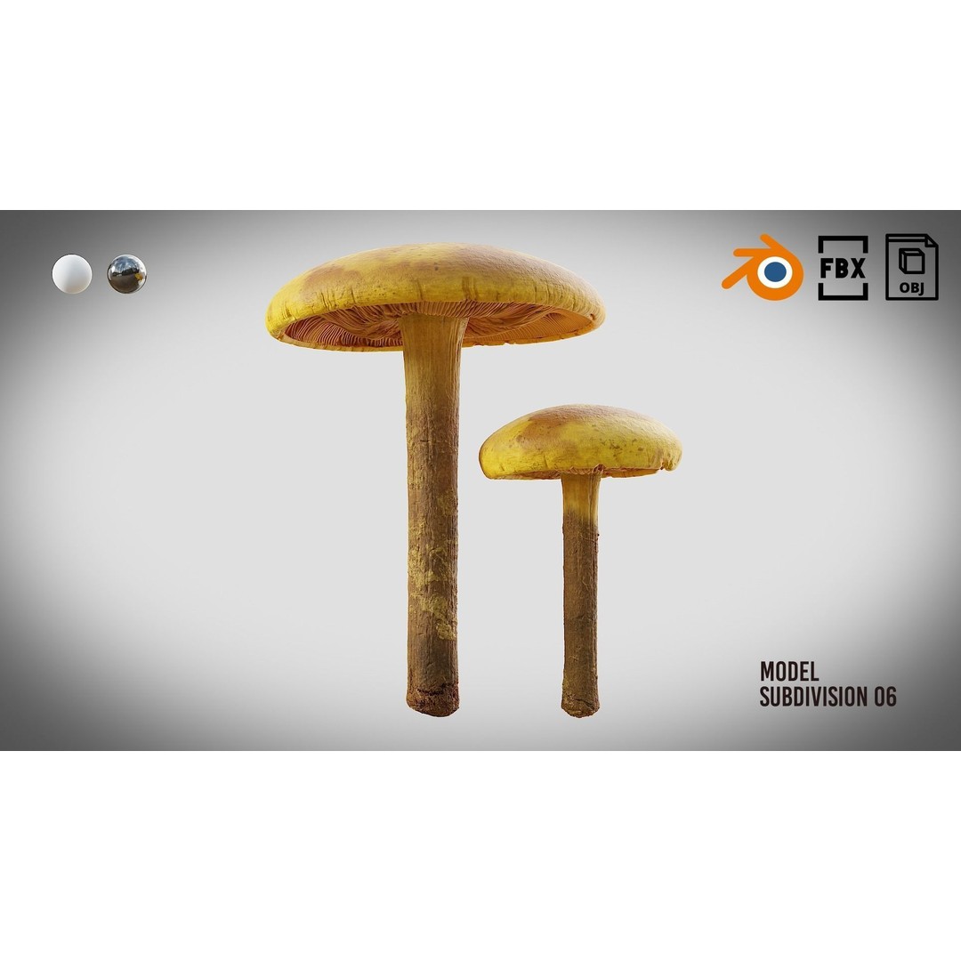 Mushrooms 3D Model – Low Poly PBR Asset with 4K Textures - View 4