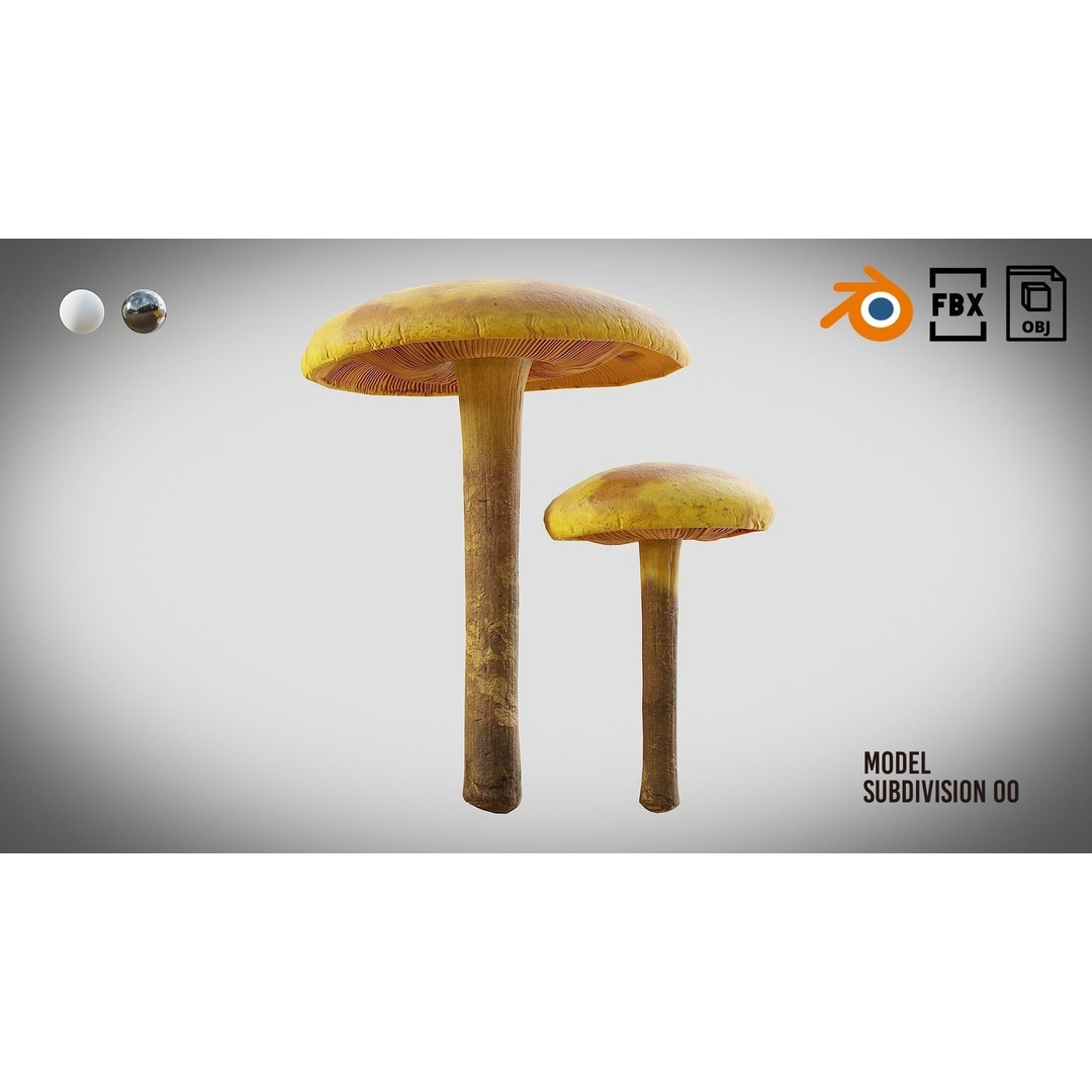 Mushrooms 3D Model – Low Poly PBR Asset with 4K Textures - View 8
