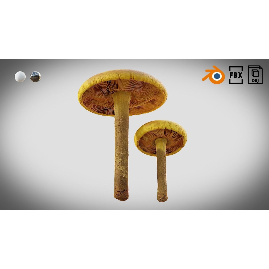 Mushrooms 3D Model – Low Poly PBR Asset with 4K Textures - View 9