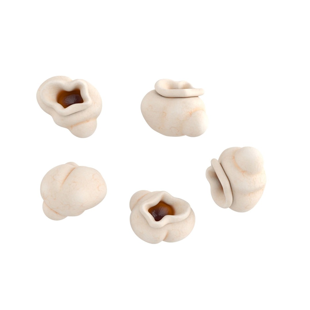 Snack Pack 3D Model – Low Poly Food Collection, FBX, OBJ - View 16