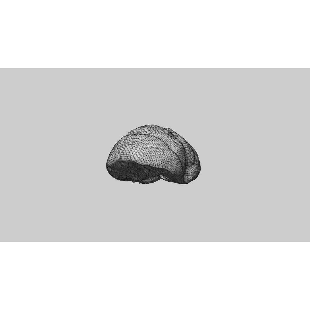 Half Mandarin Piece 3D Model – Realistic Food Asset, PBR Textures, FBX - View 11