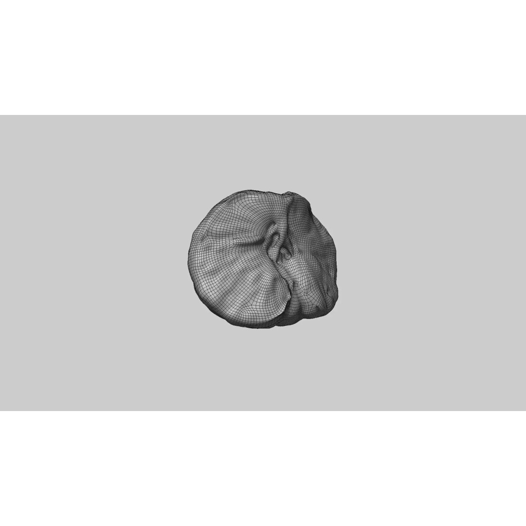 Half Mandarin Piece 3D Model – Realistic Food Asset, PBR Textures, FBX - View 7